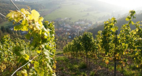 Weingut Hees - Landgasthof Zum Jäger aus Kurpfalz, Auen